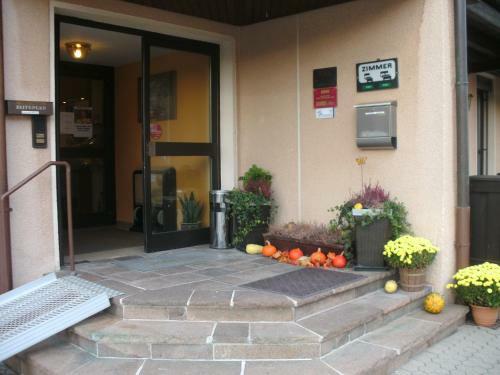 Hostal Gasthof Landhotel Gr�ner Baum