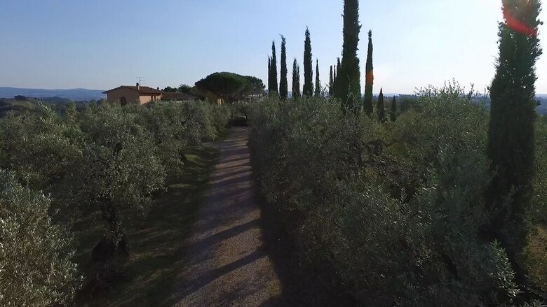 Agroturismo La Rocca Di Montalbino