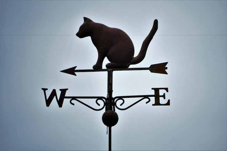 Hotel Le Secret Du Chat