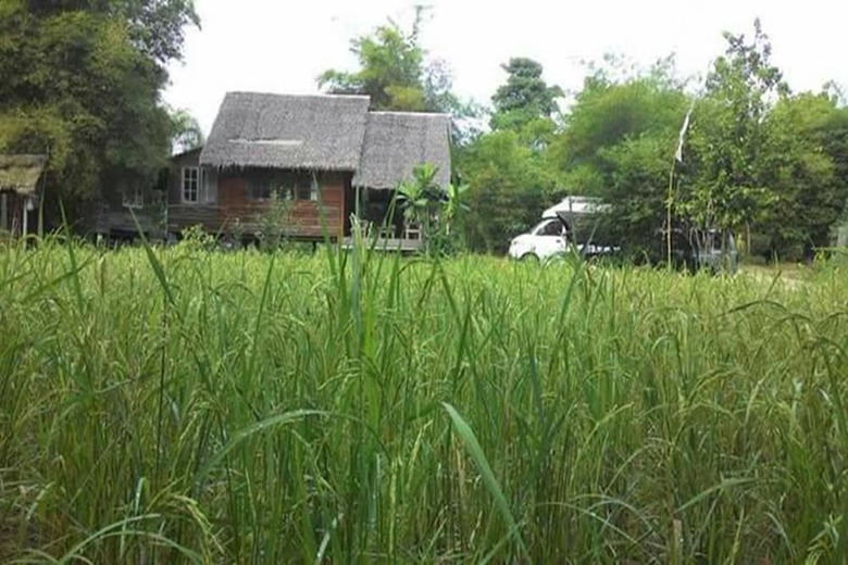 Hotel Khaoyai Uncle Nai's Hut