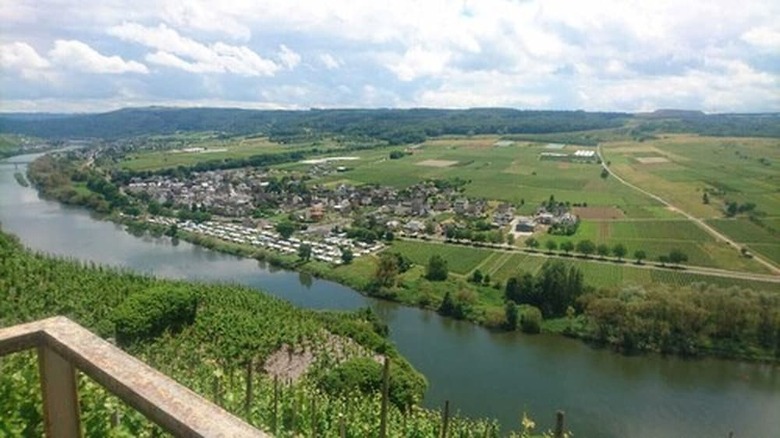 Hotel Weingut & G�stehaus Kaufmann-schneider