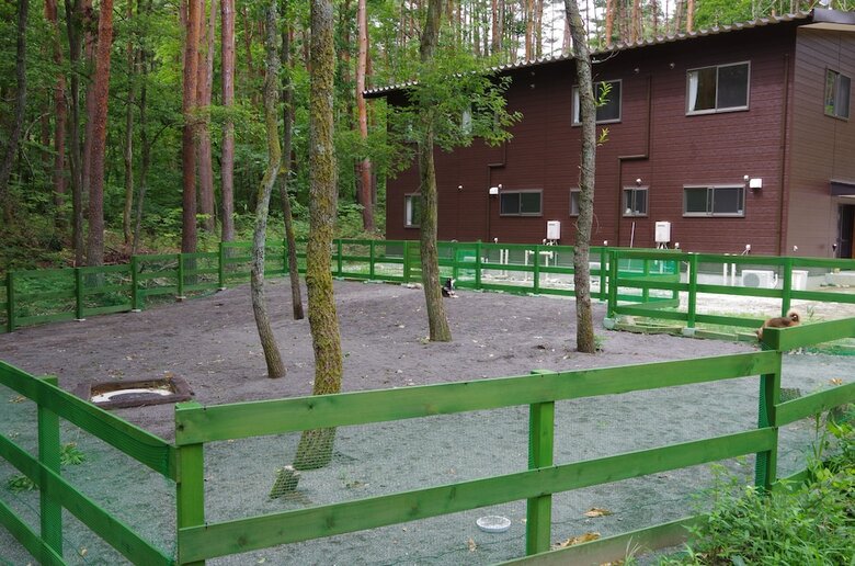 Pension For Dog Owners Oyado Tantan
