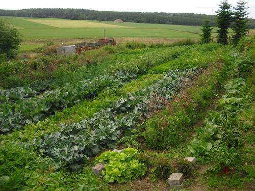 Agroturismo Willekes Bl�tenhof