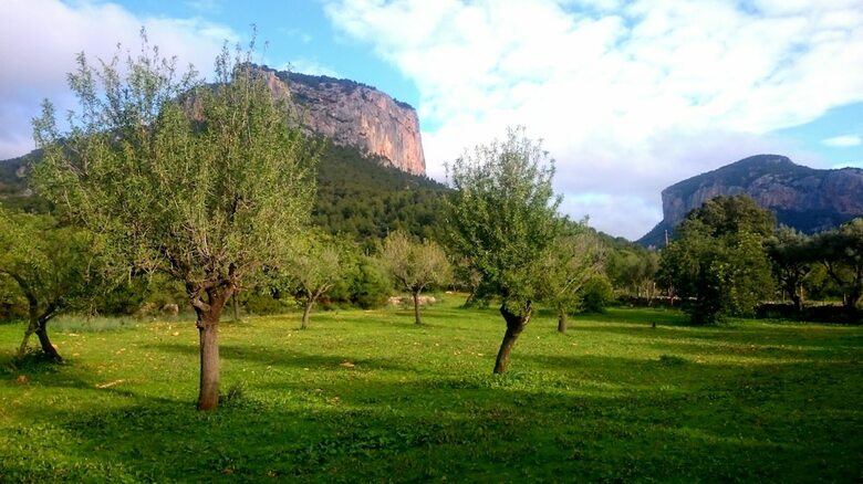 Villa Sa Caseta