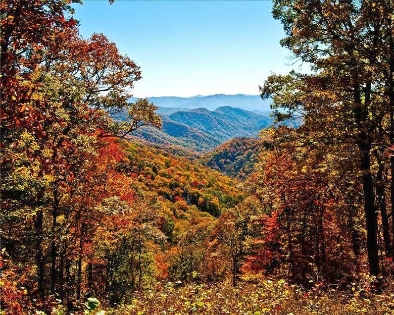 Cabana Magical Moments 1 Bedroom Home