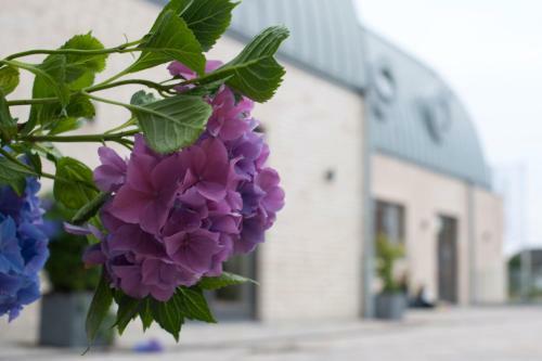 Hostal Hotel Strand Am K�nigshafen