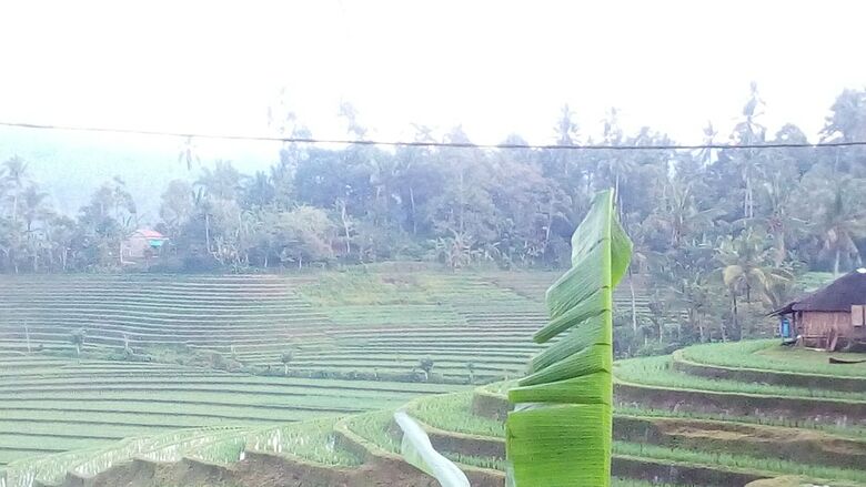 Hotel Umadhatu Village & Outbound Resort