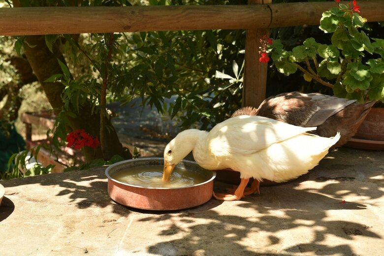 Agroturismo Agriturismo La Lamia