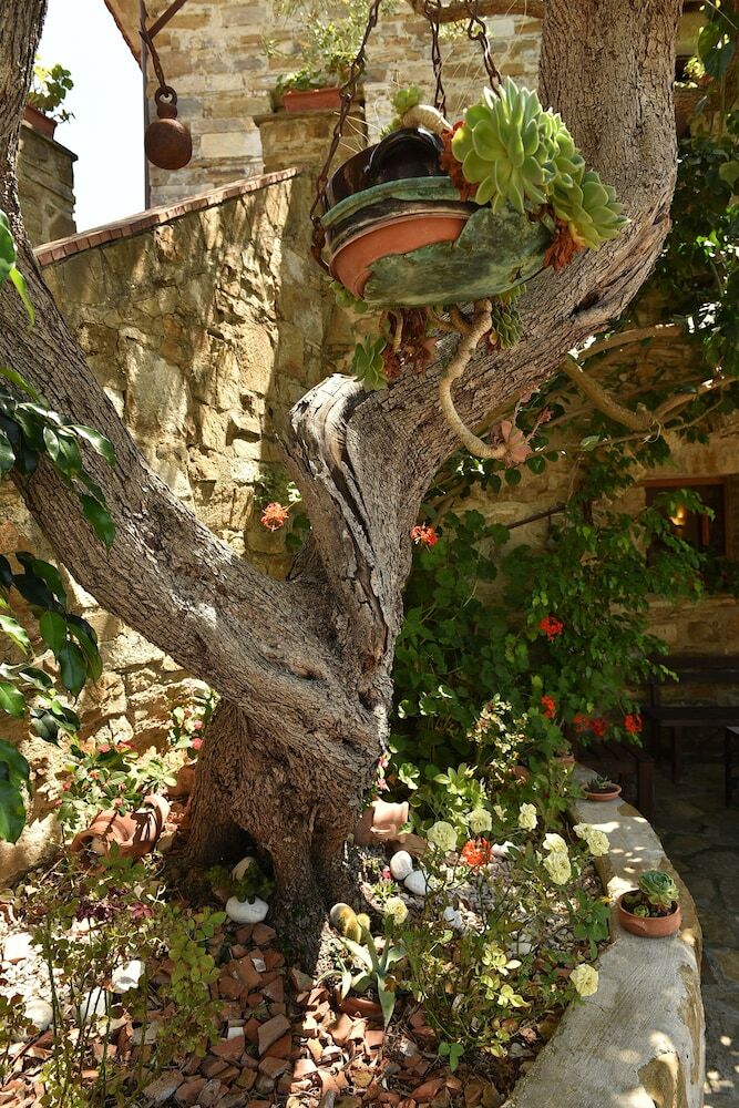 Agroturismo Agriturismo La Lamia