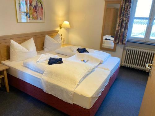 Hostal Gasthaus Zum Schlo�wirt