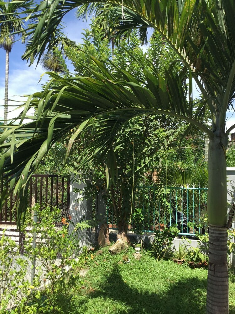 Hotel Vinh Trinh Villa Hoi An