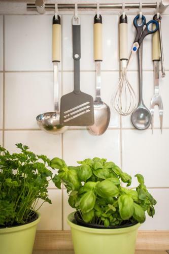 Apartamentos G�stehaus Herb