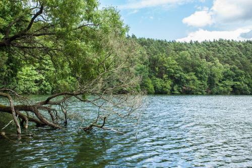 Waldsee Hotel Am Wirchensee