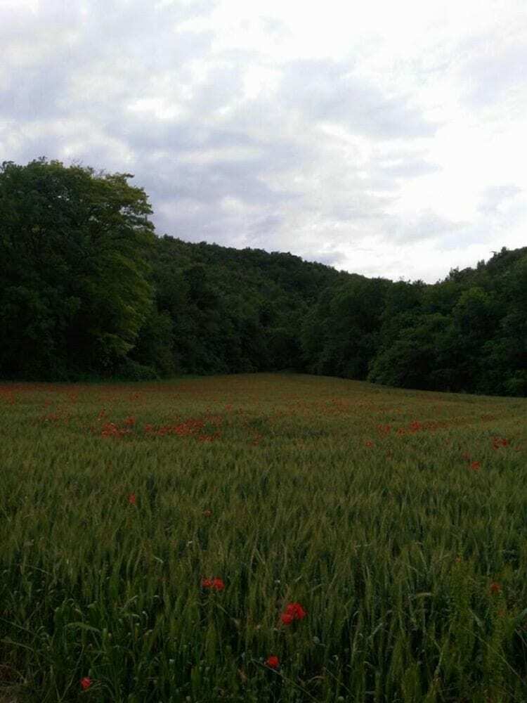 Bed & Breakfast Il Casale Di Colli Sul Velino