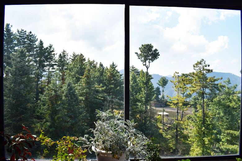 Hotel One Earth Aachman Nature Valley Resort