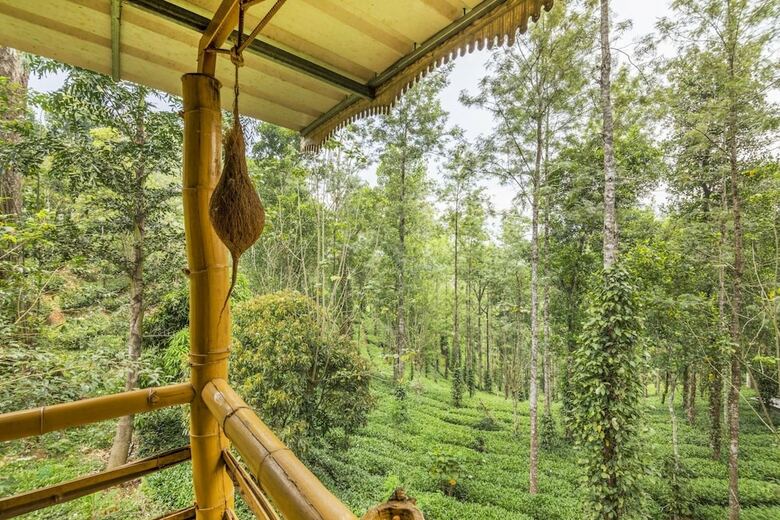 Cabana Guesthouser 4 Bhk Tree House 7d51