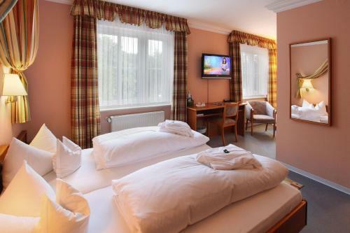 Hostal Hotel Gr�ne Tanne Mandelholz