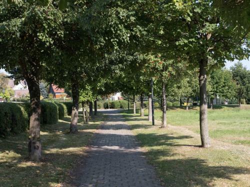 Beautiful Holiday Home In Elend With Private Sauna