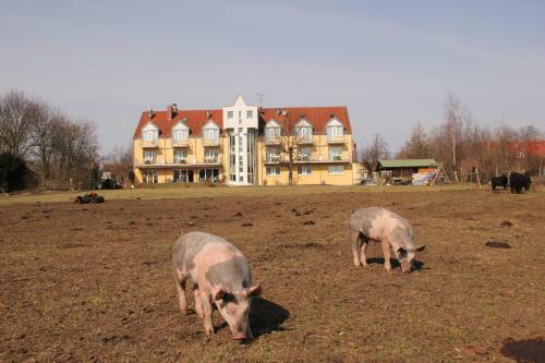 Landhotel L�wenbruch