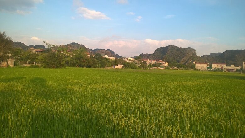 Hotel Tuyet's Homestay