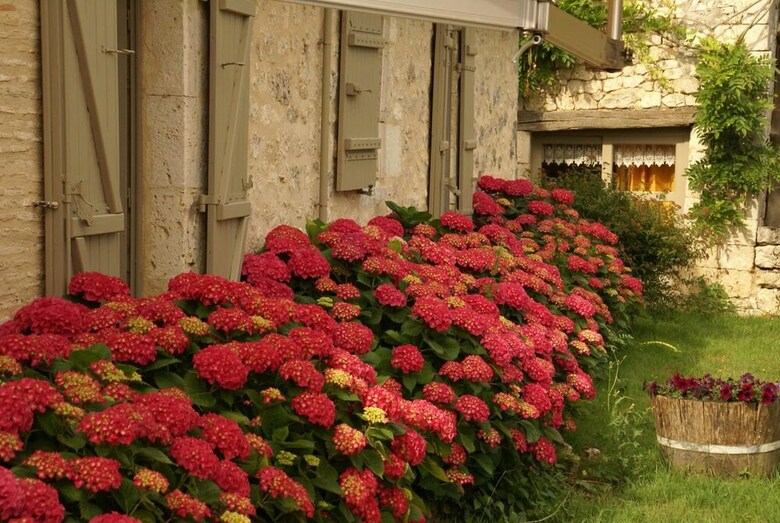 Hotel Chambres D'h�tes Au Merlot