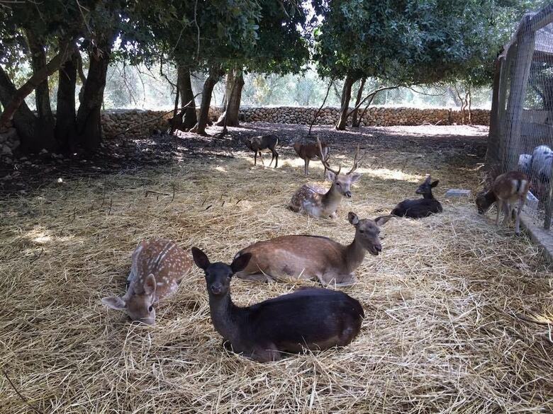 Agroturismo Tenuta Sant'antonio