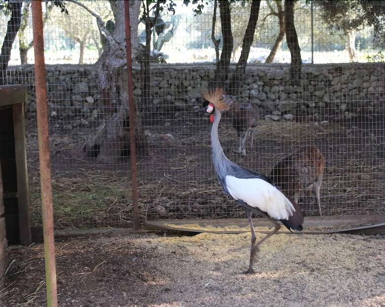 Agroturismo Tenuta Sant'antonio