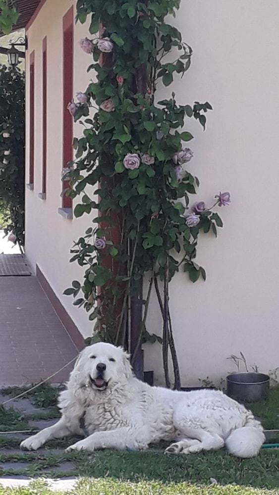 Agroturismo Agriturismo La Vita � Bella