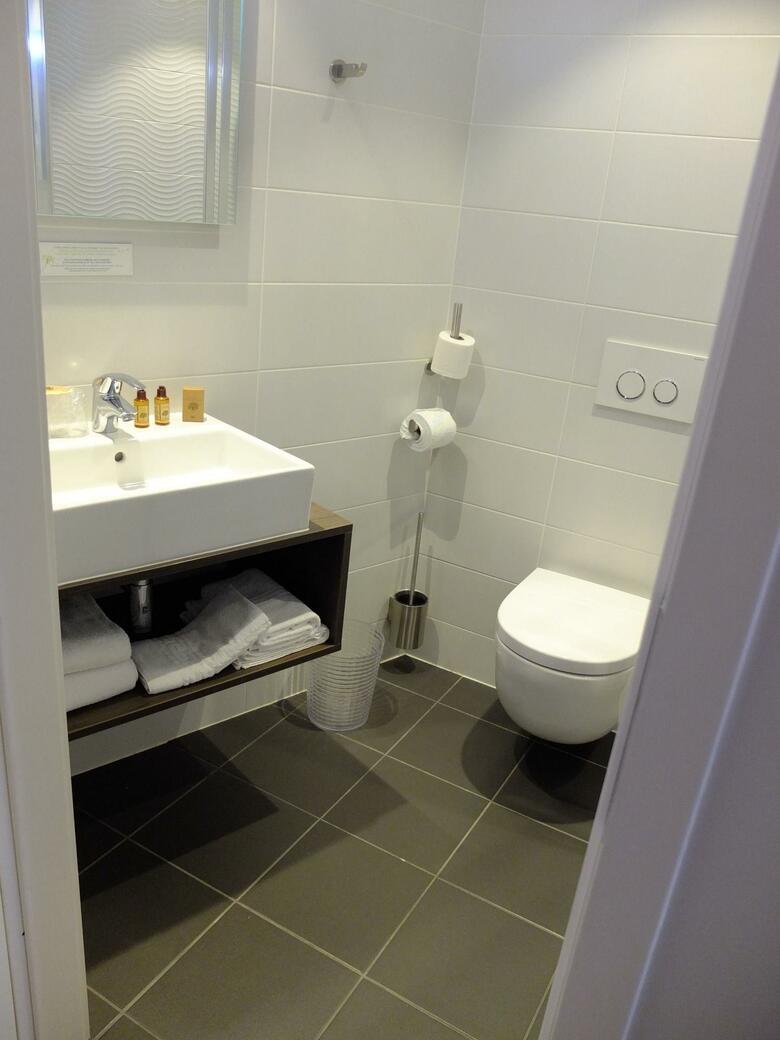 Hotel H�tel De Flore
