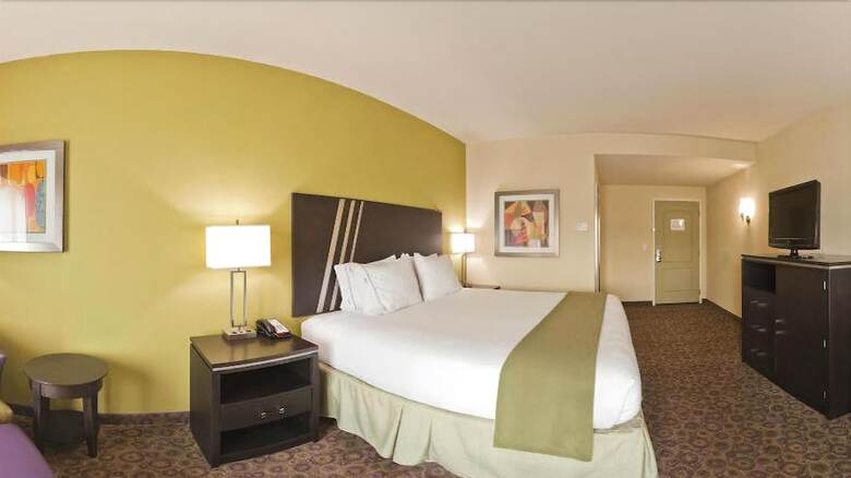 Hotel Holiday Inn Express & Suites Clemson
