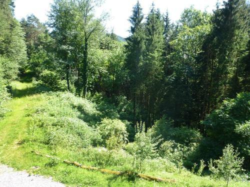 Villa Holiday Home Leubach