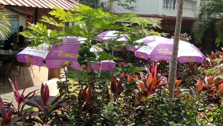 Apartamento Country Club de Goa