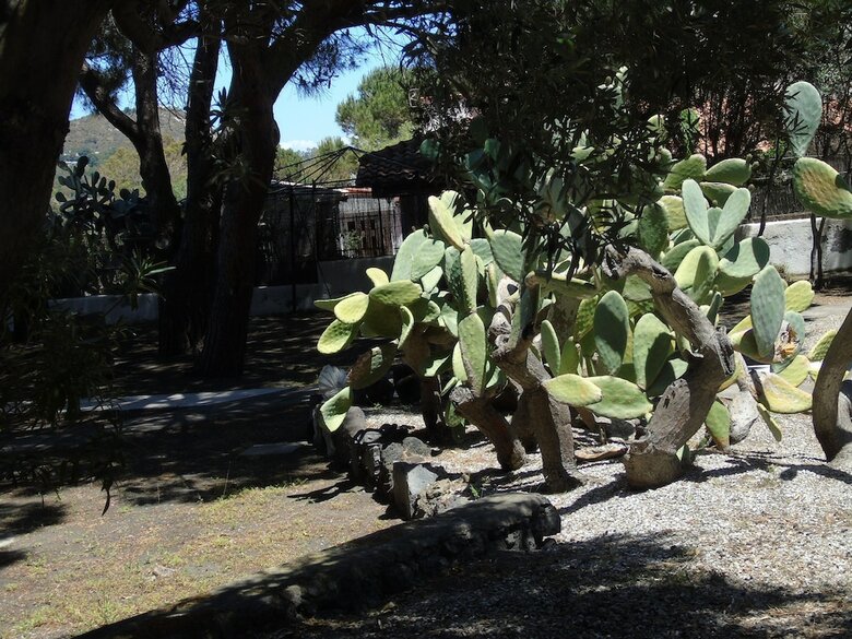 Bed & Breakfast Villa Saracina