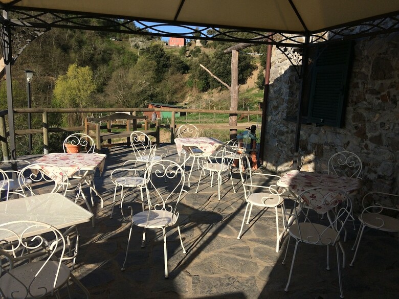 Agroturismo Agriturismo Degli Olivi