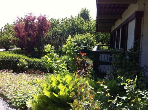 Hostal G�stehaus Obsthof