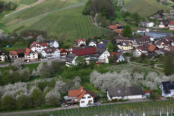Hotel Schwarzw�lder Hof