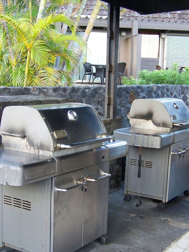 Colony I At Sea Mountain In Pahala