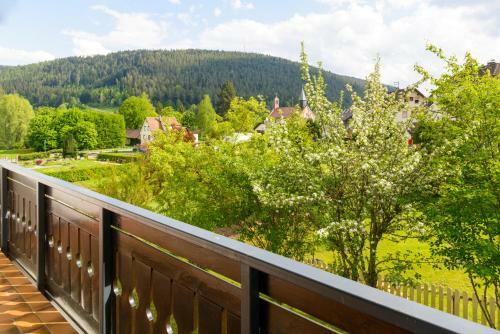 Hotel Schwarzwaldsch�fer