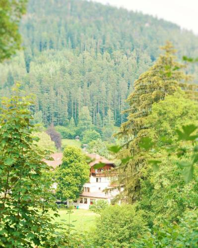 Hotel Enz Residenz