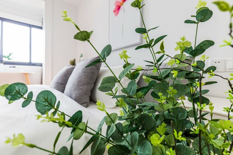 Lazy Apartment - Joy City