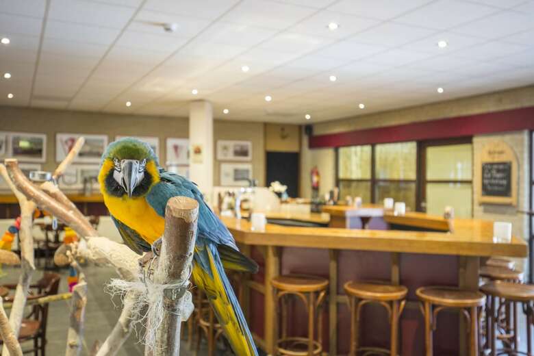Fletcher Hotel Callantsoog