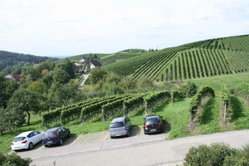 Hostal Pension Am Weinberg