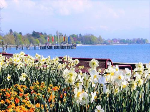 Bodensee Apartment Kressbronn "seeland"