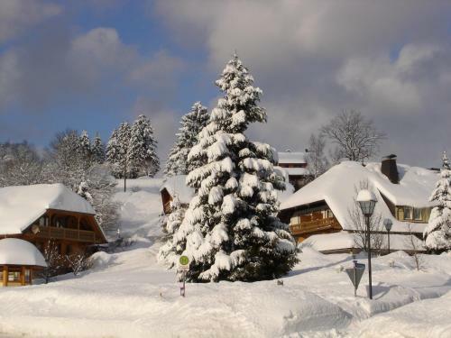 Hotel Schwarzwald-gasthof R��le