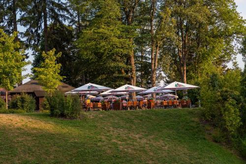 Hotel Brauereigasthof Rothaus