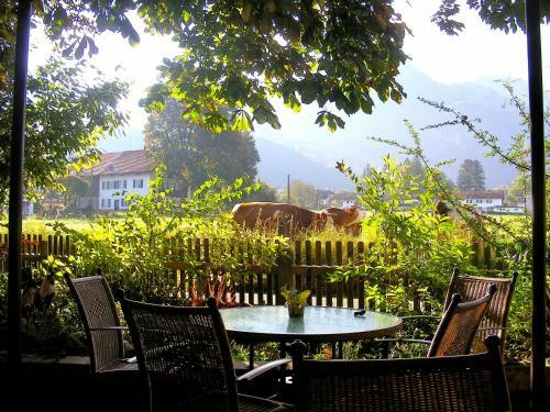 Hostal Gasthof Hotel Waltraud