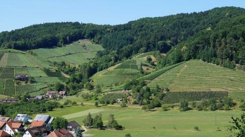 Hotel Schwarzenbergs Traube