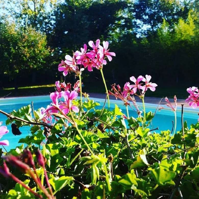 Agroturismo Agriturismo Il Sole Verde