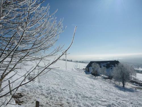 Hostal G�stehaus Hundelbach