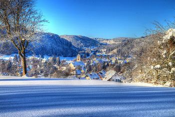 Hotel Schw�rer